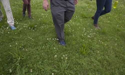 Tick Populations Are Growing. Here’s How To Stay Protected.