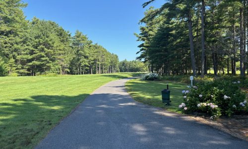 Tee Thursday: Pinehills a beauty, and Jeff likes it too