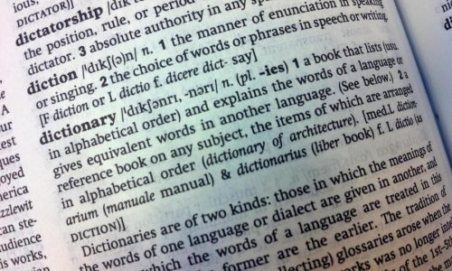 Cambridge Dictionary adds ‘skibidi’ and ‘tradwife’ among 6,000 new words