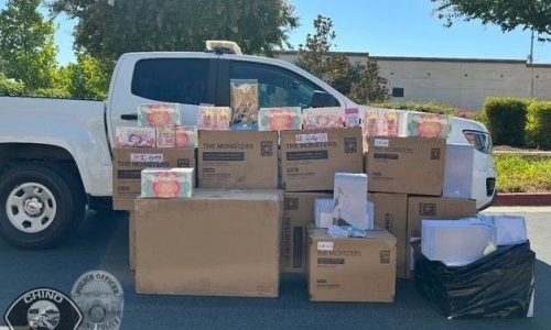 Police in Southern California find $30K worth of Labubus stolen from warehouse