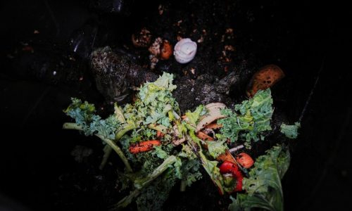 Composting helps the planet. This is how to do it, no matter where you live