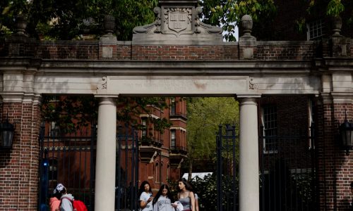 Harvard created windfall from bringing executives back to school