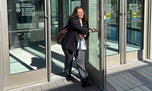 Researcher who has distorted voter data appointed to Homeland Security election integrity role