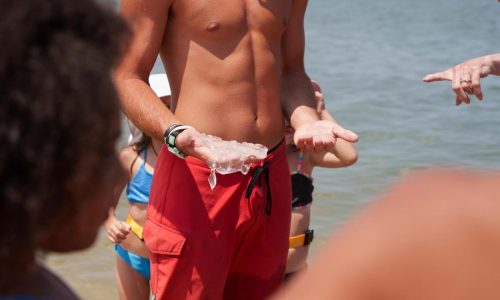 Many Delaware beachgoers feel the sting of a blooming jellyfish population