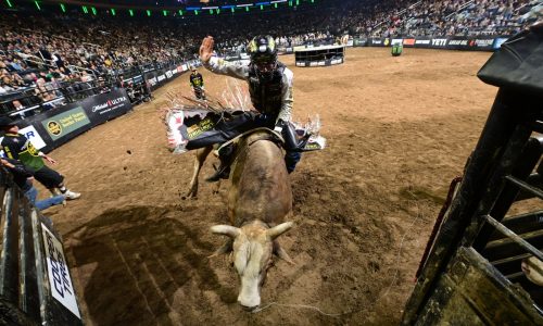 Boston’s TD Garden to host ‘intense, crazy’ Professional Bull Riders: ‘Best in the world’