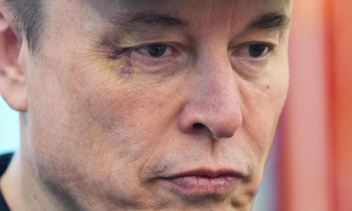 Judge issues injunction preventing Trump’s FTC from investigating watchdog Media Matters