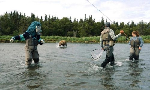 Seattle NHL team’s mascot has a close encounter with a brown bear during video shoot in Alaska