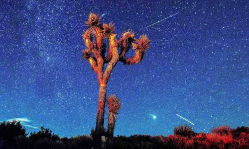 Perseid meteor shower: How and when to watch