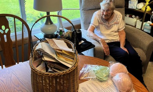 Serious Minnesota knitters wanted for project supporting breast cancer survivors