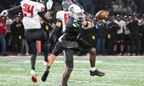 High School Football: Metro East subdistrict preview — are Forest Lake and Mounds View on top again?