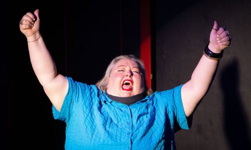 Theater review: Brave New Workshop’s latest is funniest at the federal level