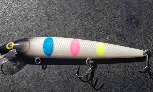 Crankbait mishap leads to the wrong kind of ‘hooked on fishing’