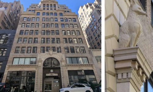 NYC Housing Calendar, Aug. 11-18