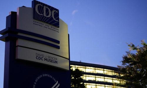 With CDC in chaos, scientists and physicians piece together replacements for agency’s lost work