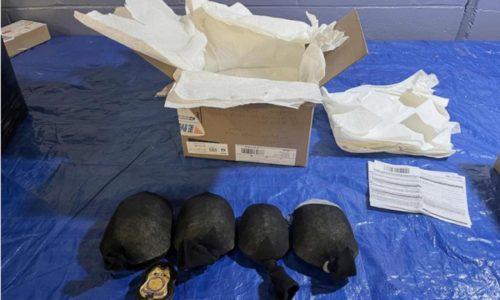 Man admits trying to smuggle 850 protected turtles valued at $1.4 million to Hong Kong