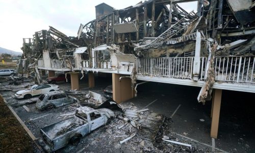 New studies tie unrecognized deaths and health problems to Maui and LA wildfires