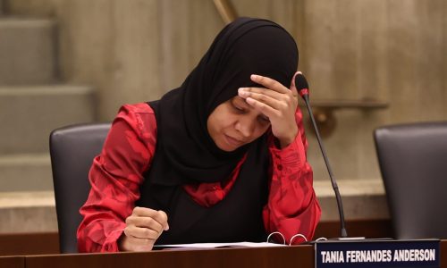 Tania Fernandes Anderson asks federal judge to let her avoid prison time after conviction