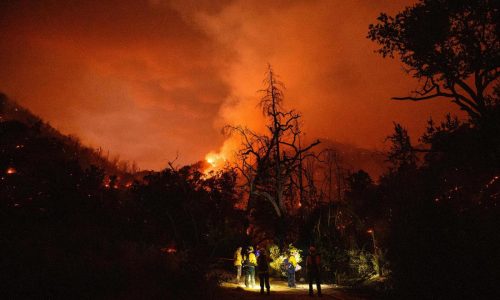 Firefighters question leaders’ role in Washington immigration raid