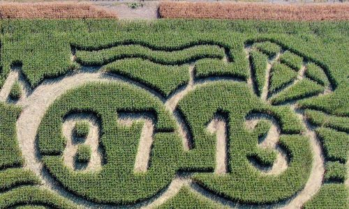 Get an early look at this corn maze celebrating Kelce & Swift’s love story