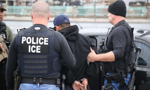 Local Police Agreements With ICE Have Exploded in New York—and Nationwide