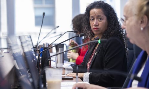 Ofensiva federal está afectando salud mental de inmigrantes neoyorquinos, afirman funcionarios y defensores