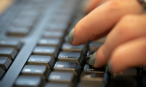 St. Paul: Permit, license applications now available online