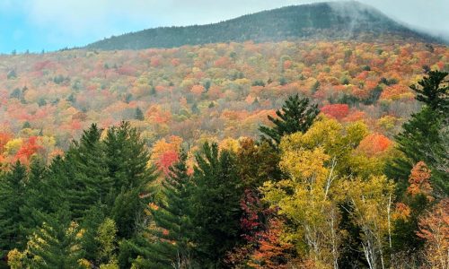 Fall foliage tracker 2025: Where and when to go leaf peeping throughout the U.S.