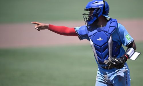 Red Sox re-acquire catcher ahead of Sept. 1 roster expansion