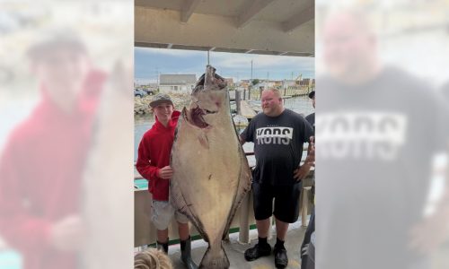 Young man and the sea: Teen fishing off New England coast catches huge halibut bigger than him