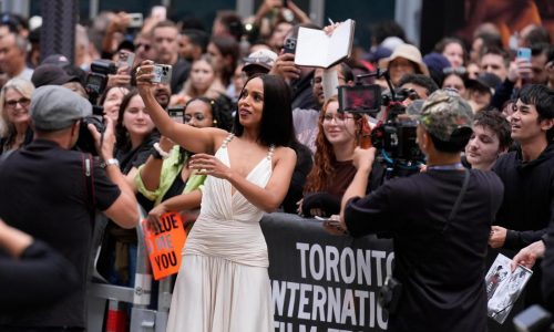 At TIFF, the mid-sized movie strives to survive