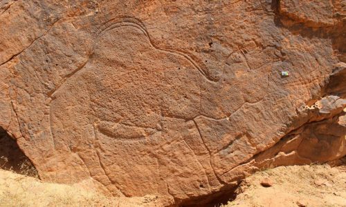 Scientists find ancient life-size animal rock carvings in the Saudi Arabian desert