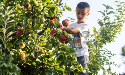 Boston weather: Sunny skies, dipping fall temperatures incoming
