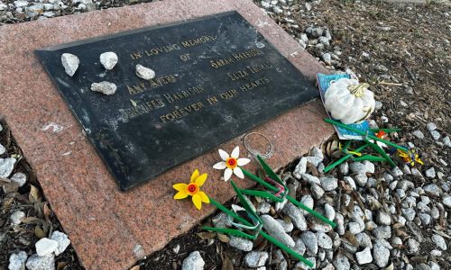 DNA evidence links a dead man to the 1991 killings of 4 girls at Texas yogurt shop