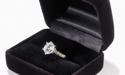 Perfect Boston spots for popping the question