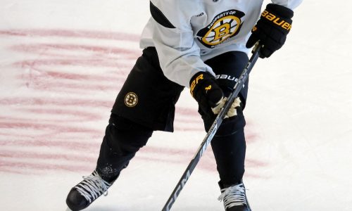 Bruins notebook: A healthy Viktor Arvidsson ready to pitch in