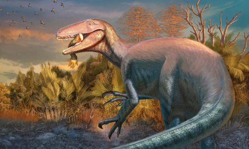 Scientists discover a new dinosaur from Argentina with a crocodile bone in its mouth