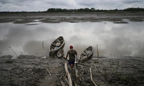 Well-preserved Amazon rainforest on Indigenous lands can protect people from diseases, study finds