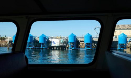 In LA port, bobbing blue floats are turning wave power into clean energy