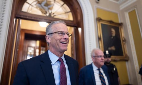 Senate confirms 48 of Trump’s nominees at once after changing the chamber’s rules