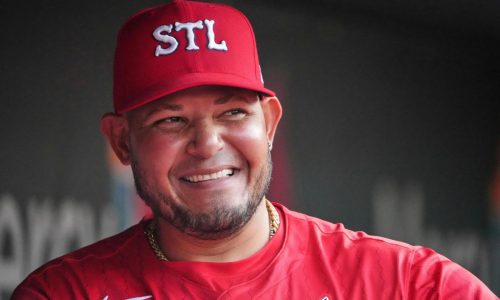 Pigs, furniture, appliances and a horse stolen from Yadier Molina property, Puerto Rican police say