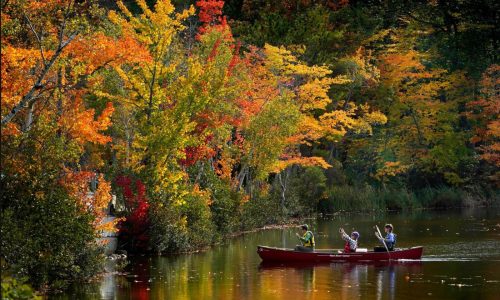 Day and night get equal billing Monday as fall equinox arrives. Here’s what to know