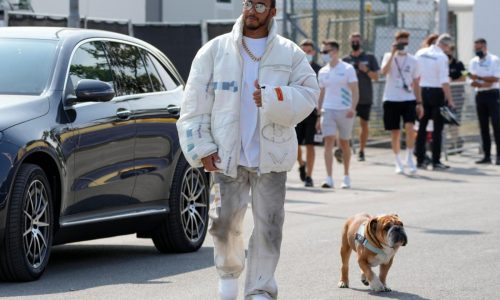 Lewis Hamilton says the death of his dog Roscoe is ‘one of the most painful experiences’