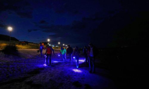 Finding happiness in amber: On Germany’s Baltic coast, people go hunting for the precious pieces