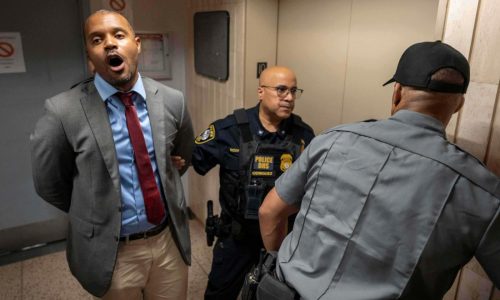 Elected officials and dozens of protesters are arrested at Manhattan immigration holding facility
