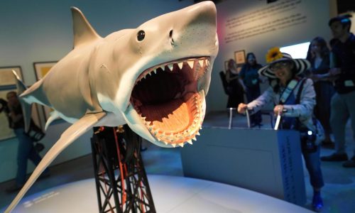 Steven Spielberg celebrates ‘awesome’ 50th anniversary ‘Jaws’ exhibition at Academy Museum