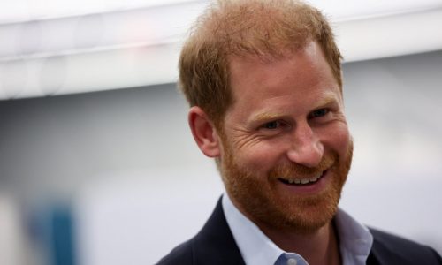 Prince Harry says he wants to work at Disneyland
