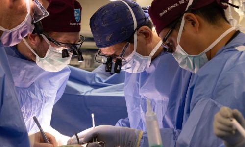 Another New Hampshire man gets a pig kidney as transplant trials are poised to start