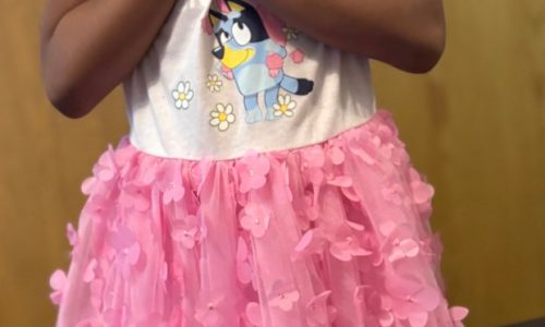 Looking for a mentor: Liv