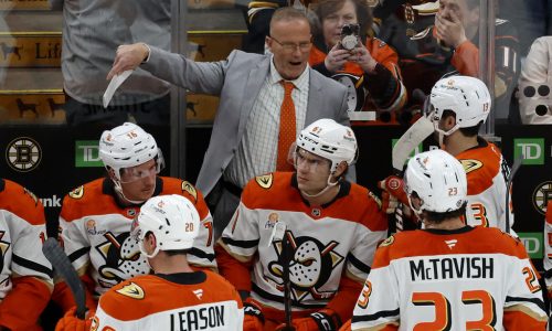 New Iowa Wild coach brings wealth of NHL and AHL experience