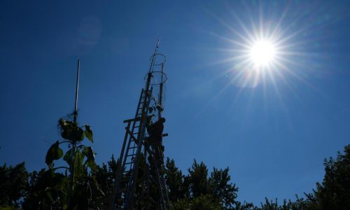 The world’s tallest sunflower blooms in an Indiana backyard as a tribute to Ukraine